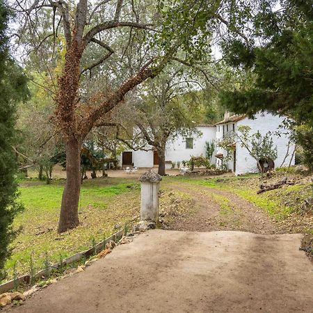 Molino De Gris Cazorla Villa Chilluevar Exterior photo
